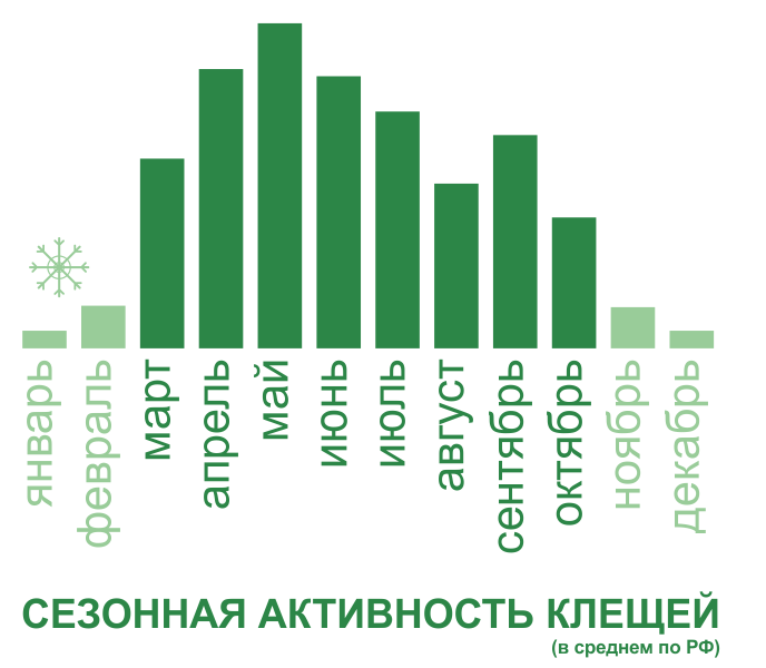 Акарицидная обработка от клещей территории и участков в Петрозаводске. Цены